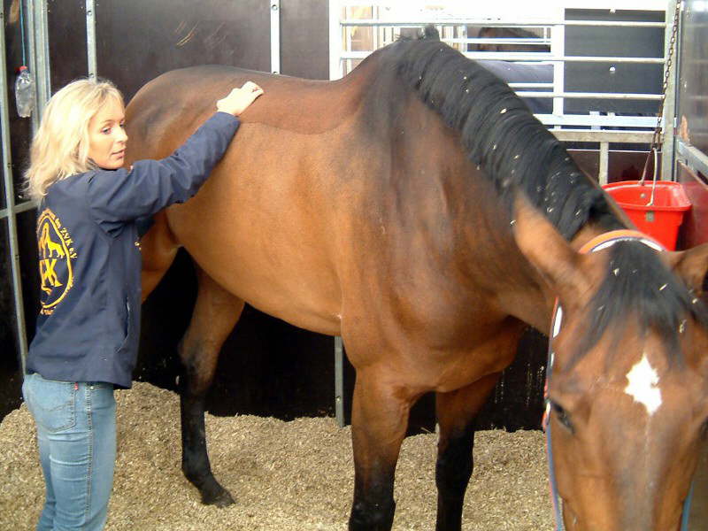 2004-Baltic Horse Show